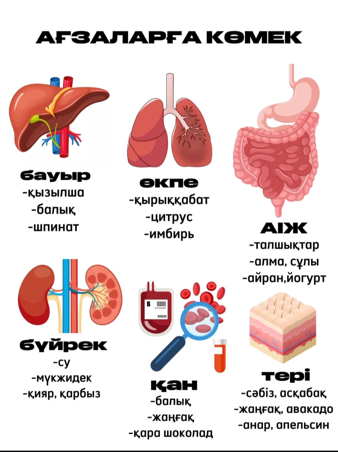 Ағзаларға көмек
